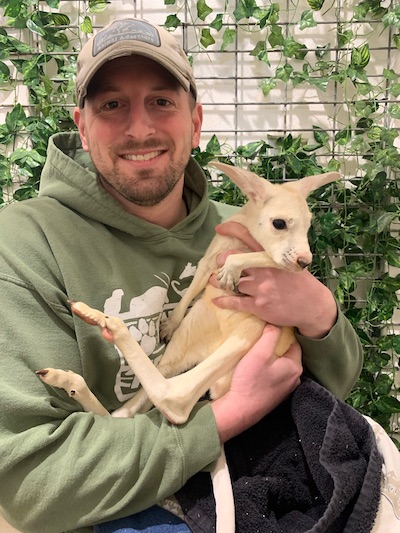 Animal Adventure Park celebrates birth of extremely rare white kangaroo