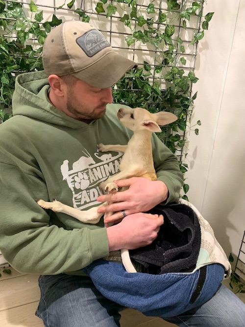 Animal Adventure Park celebrates birth of extremely rare white kangaroo
