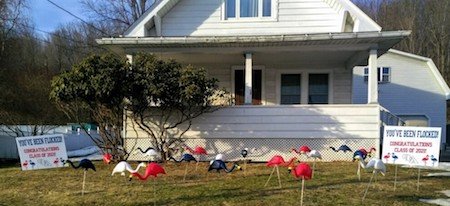 Sign up to flock someone!