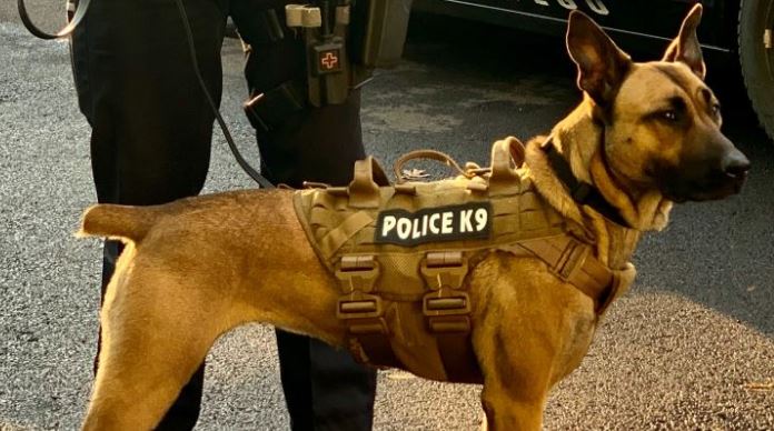 K-9 Maggie needs a new ride!