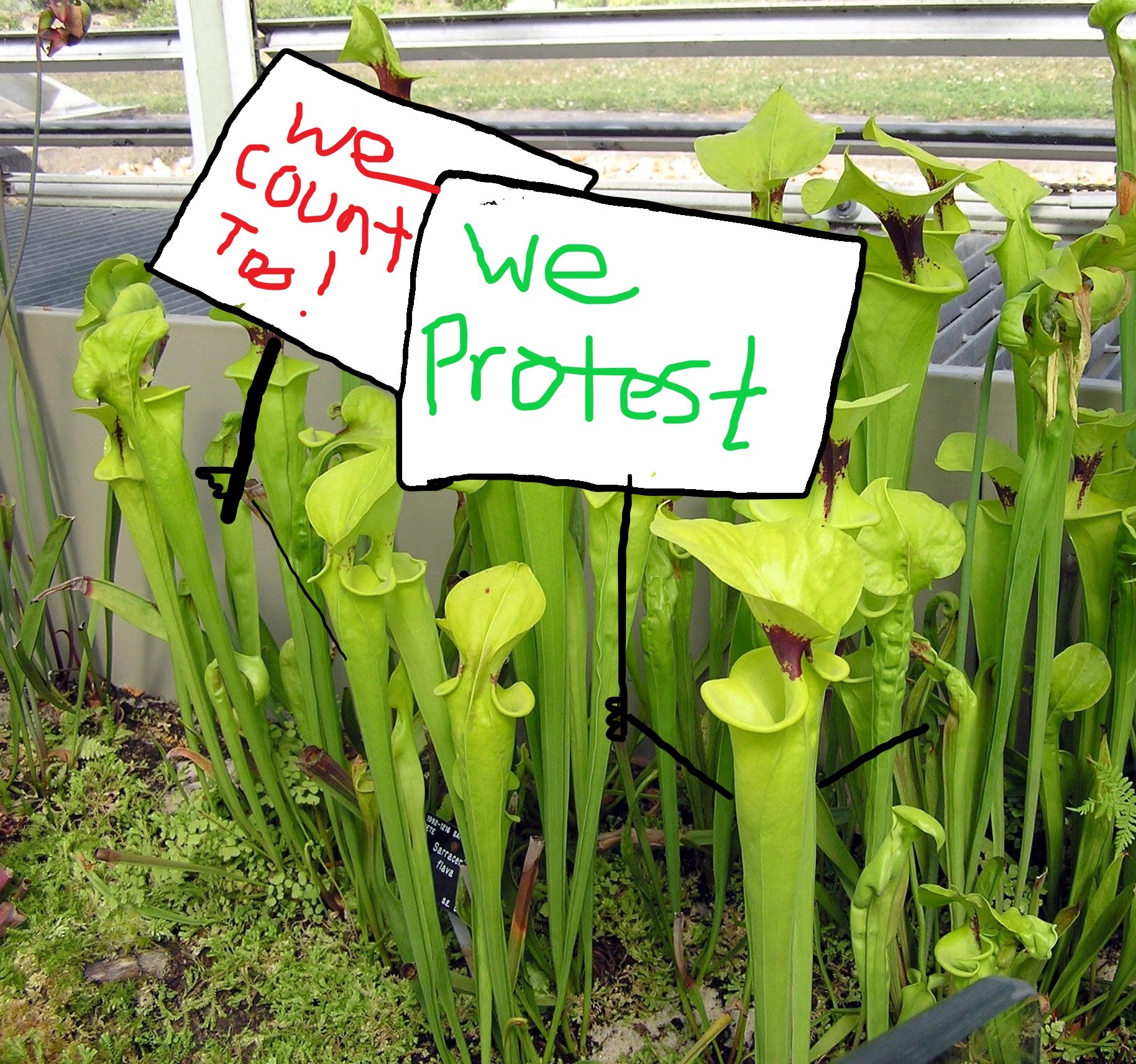 An insight into the insect world explained