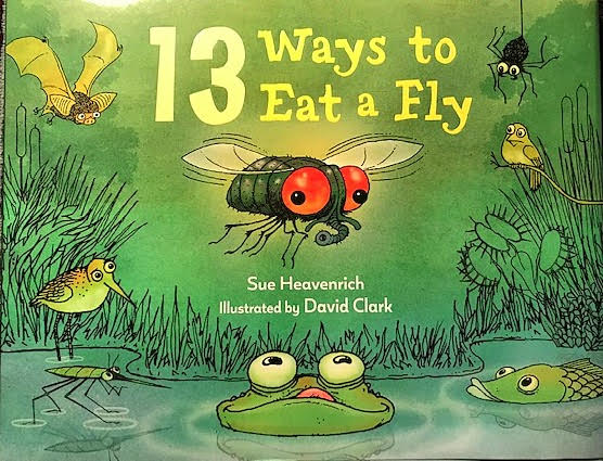 An insight into the insect world explained