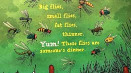 An insight into the insect world explained