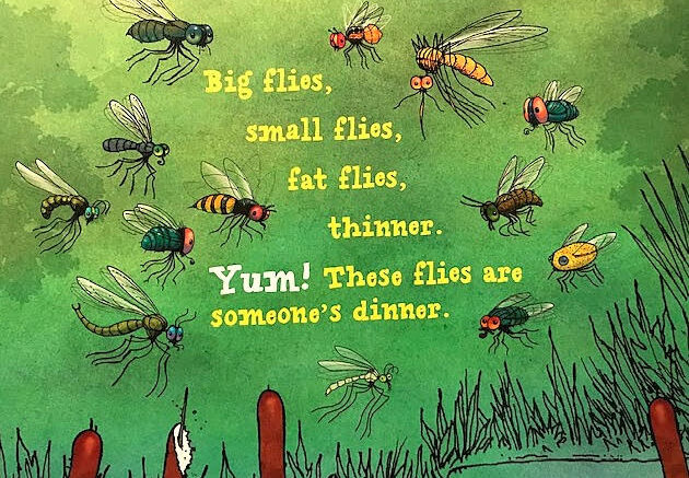 An insight into the insect world explained