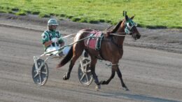 Tioga Downs racing season begins!