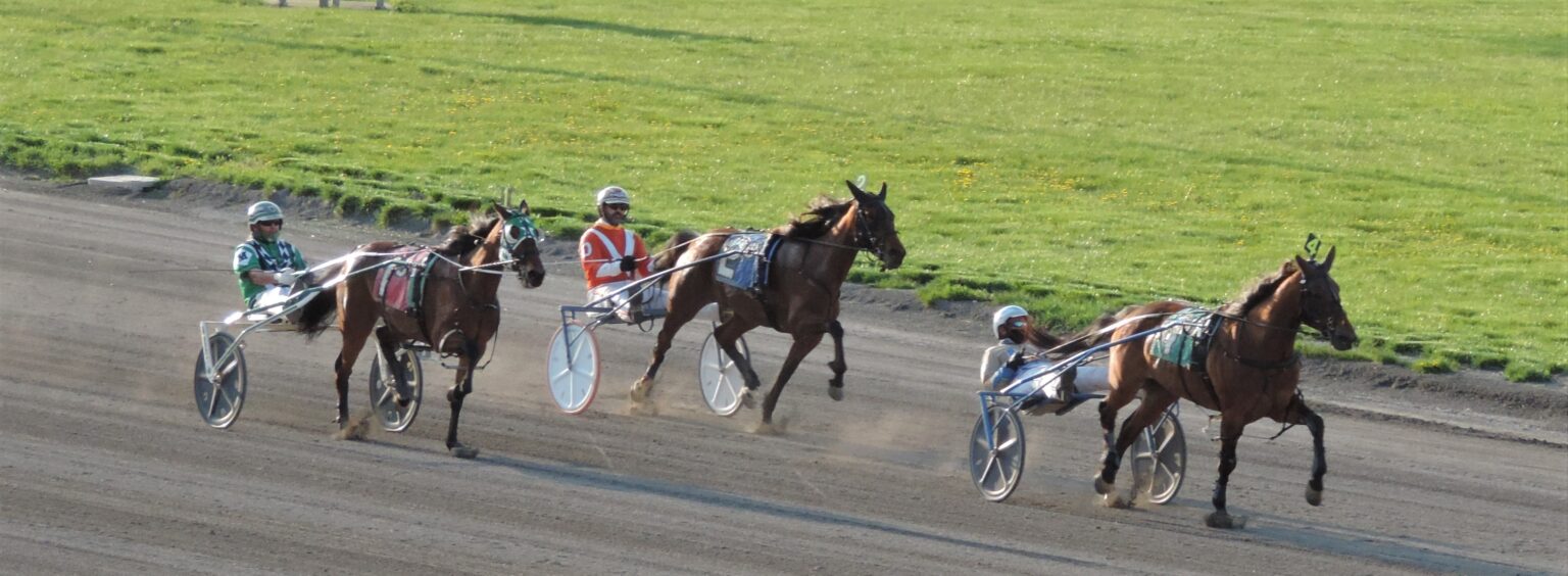 Tioga Downs racing season begins Saturday! Owego Pennysaver Press