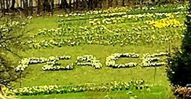 Unity Lifts People’s Spirits