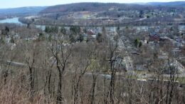 Photo: The length of the Westbound Train