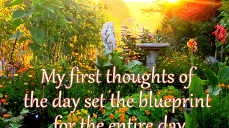 Cultivating the Garden of My Mind