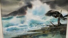 Gallery Forty-One announces their guest artist for June and July