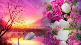 Think One Pure Thought Every Day, and watch your life change 