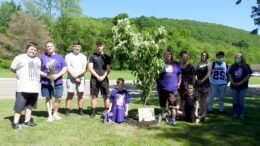 Memories and Dogwood Trees