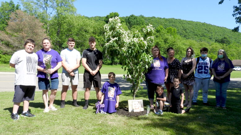 Memories and Dogwood Trees