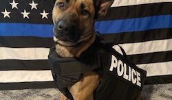 Kiwanis Club of Owego honors Owego Police Department 