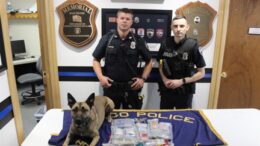Owego’s Canine assists in narcotics’ detection; leads to arrest