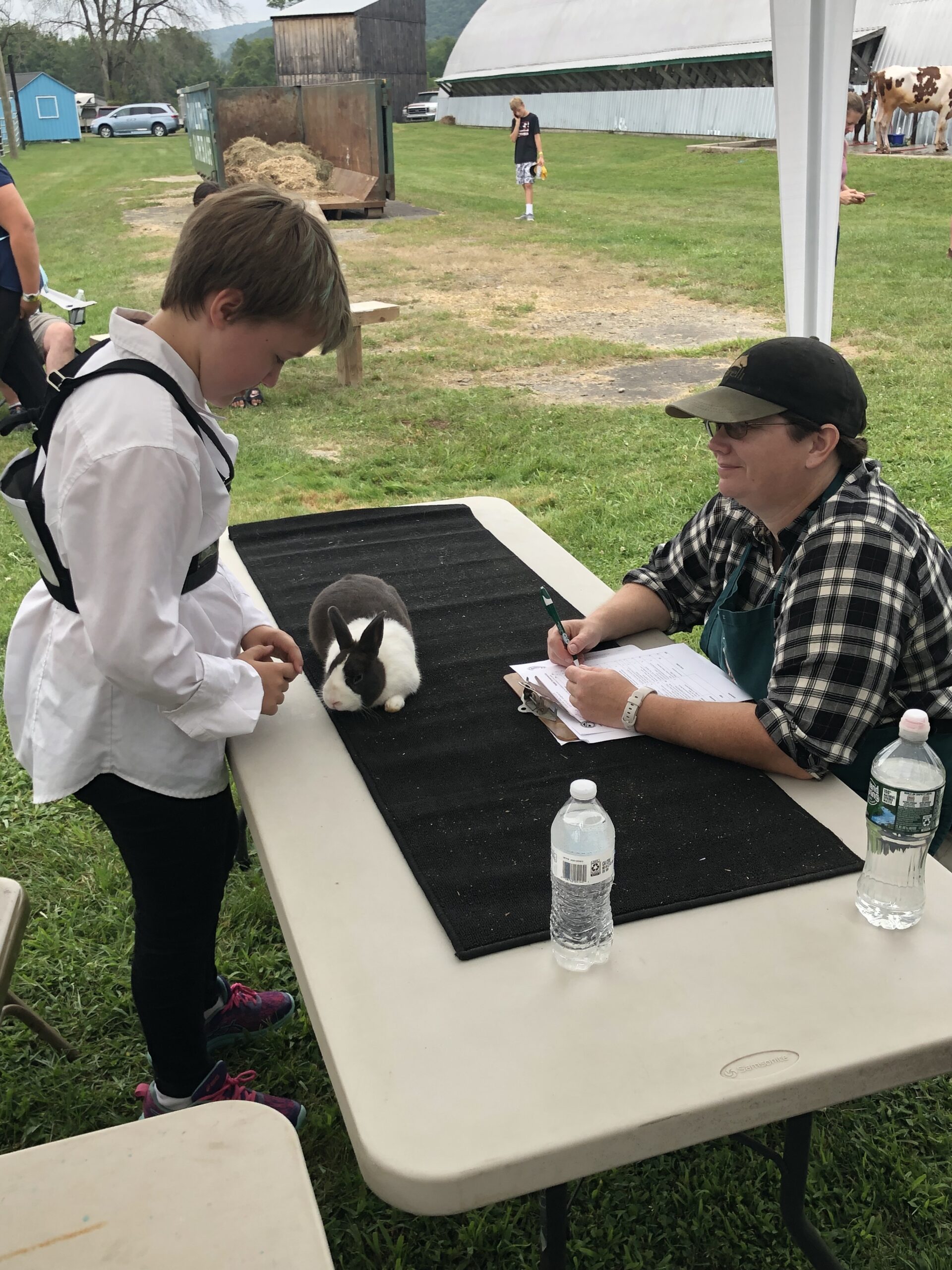 Photos: 4-H at the Tioga County, N.Y. Fair