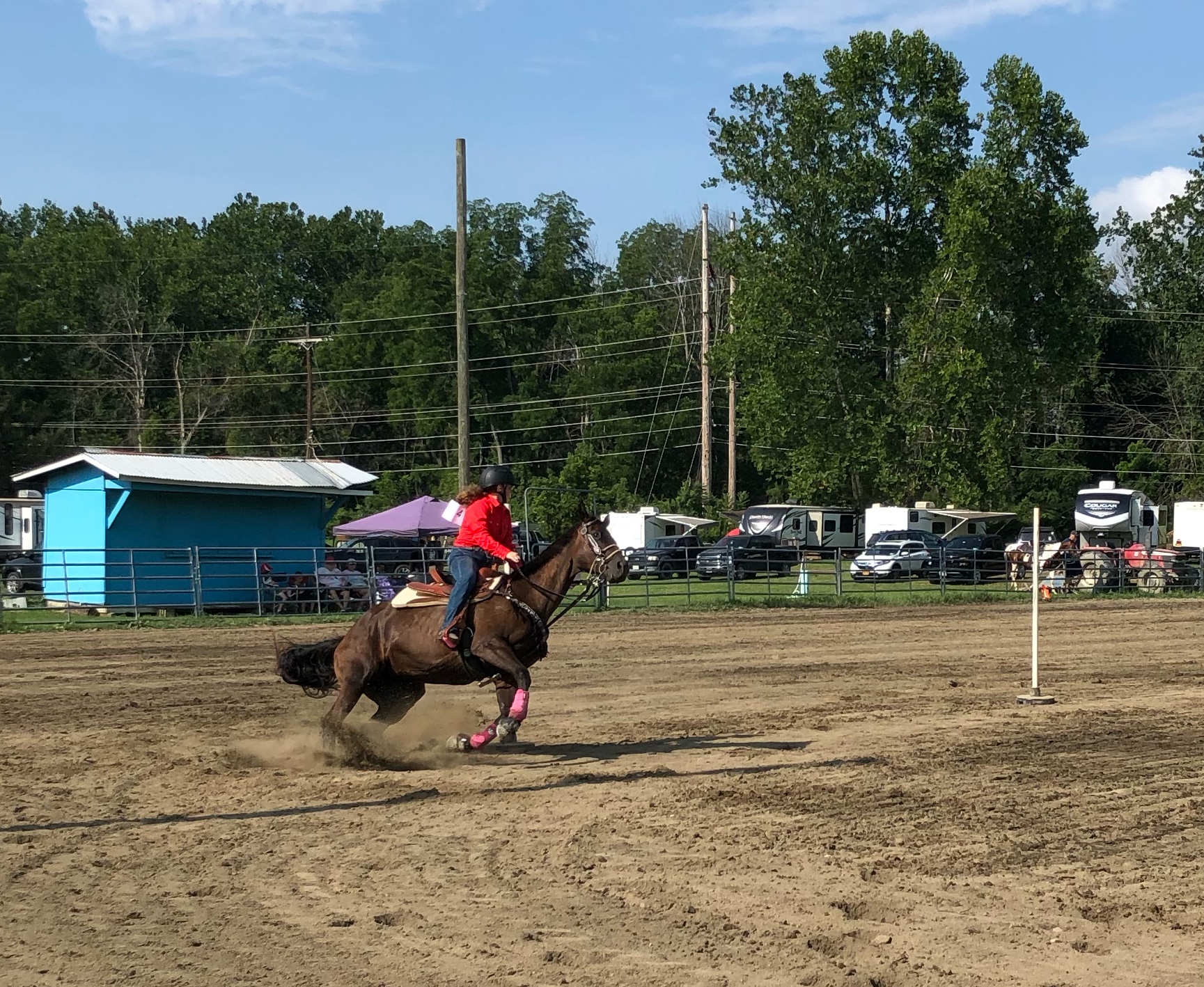 Photos: 4-H at the Tioga County, N.Y. Fair