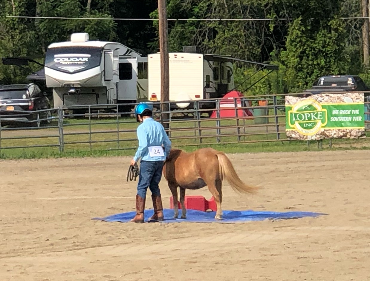 Photos: 4-H at the Tioga County, N.Y. Fair