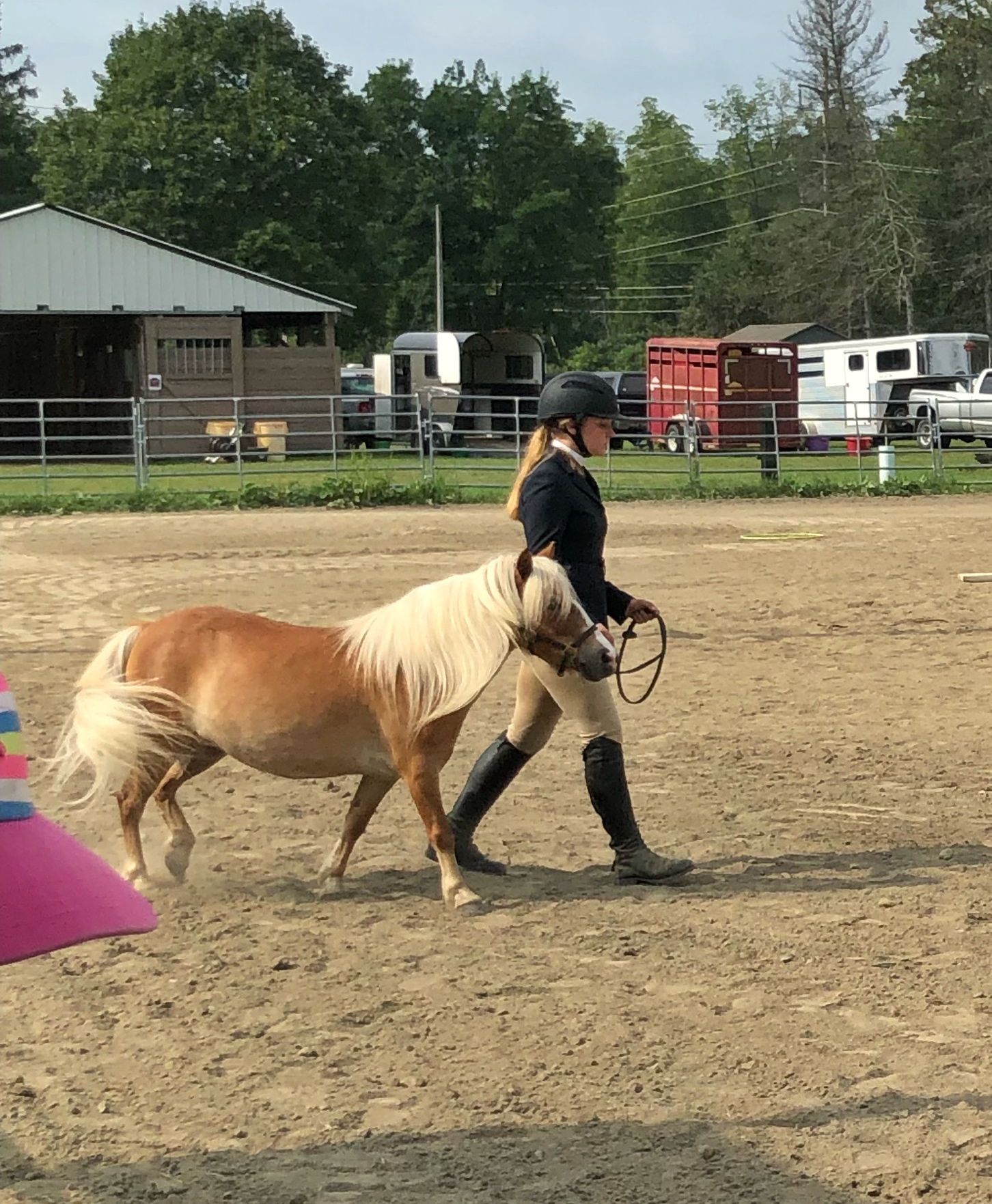 Photos: 4-H at the Tioga County, N.Y. Fair