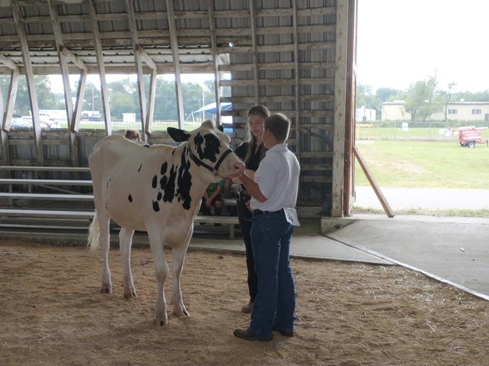 Photos: 4-H at the Tioga County, N.Y. Fair