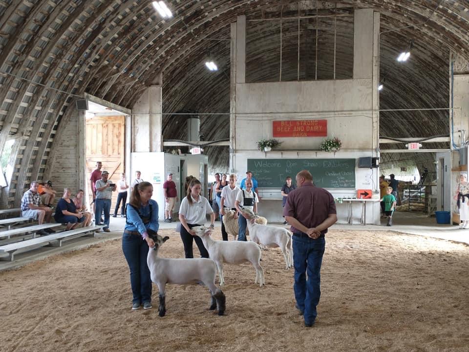 Photos: 4-H at the Tioga County, N.Y. Fair