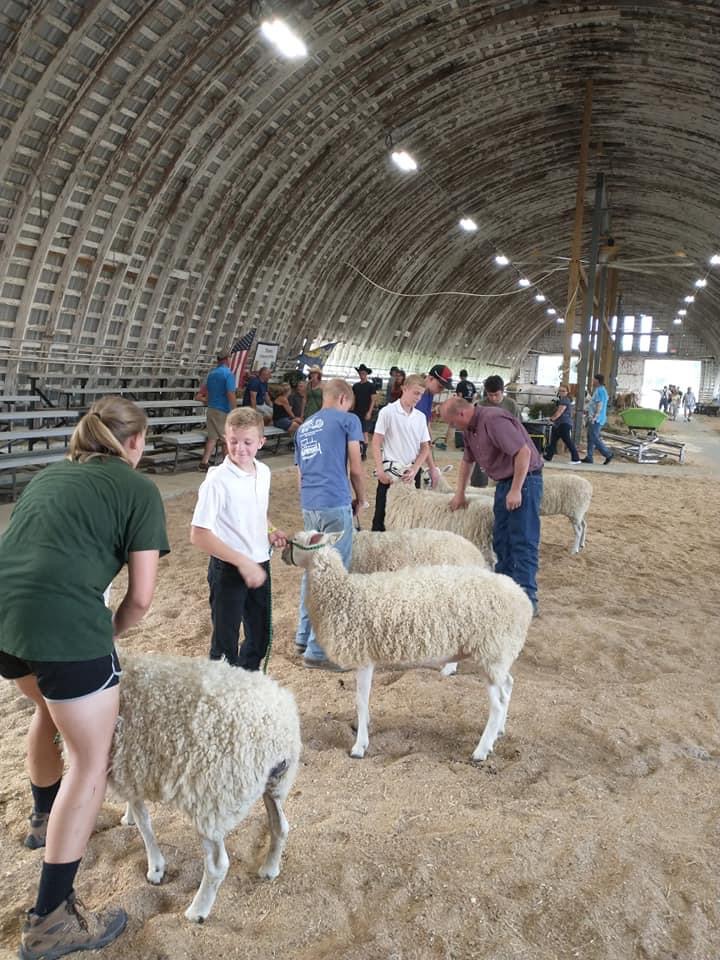 Photos: 4-H at the Tioga County, N.Y. Fair