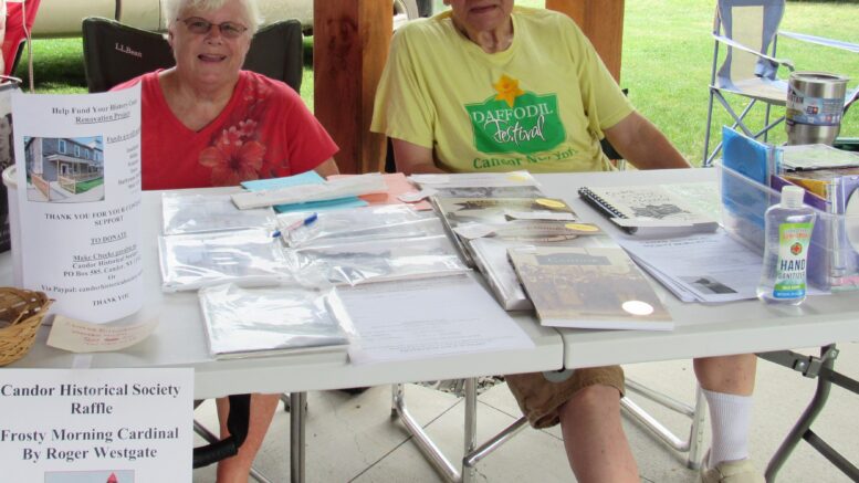 Hand carved cardinal raffle to benefit Candor's History Center