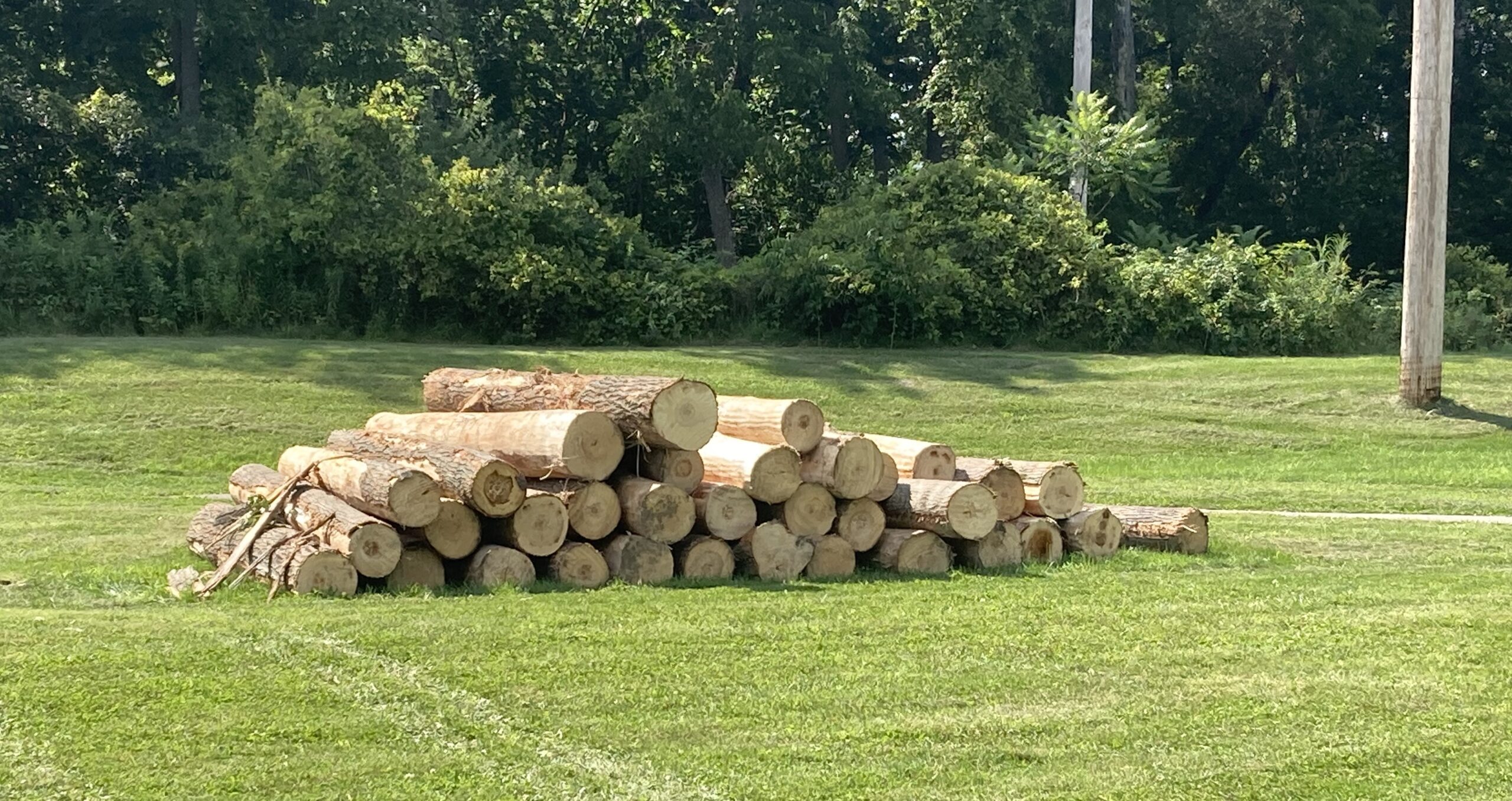 The Tioga County Fair begins this week