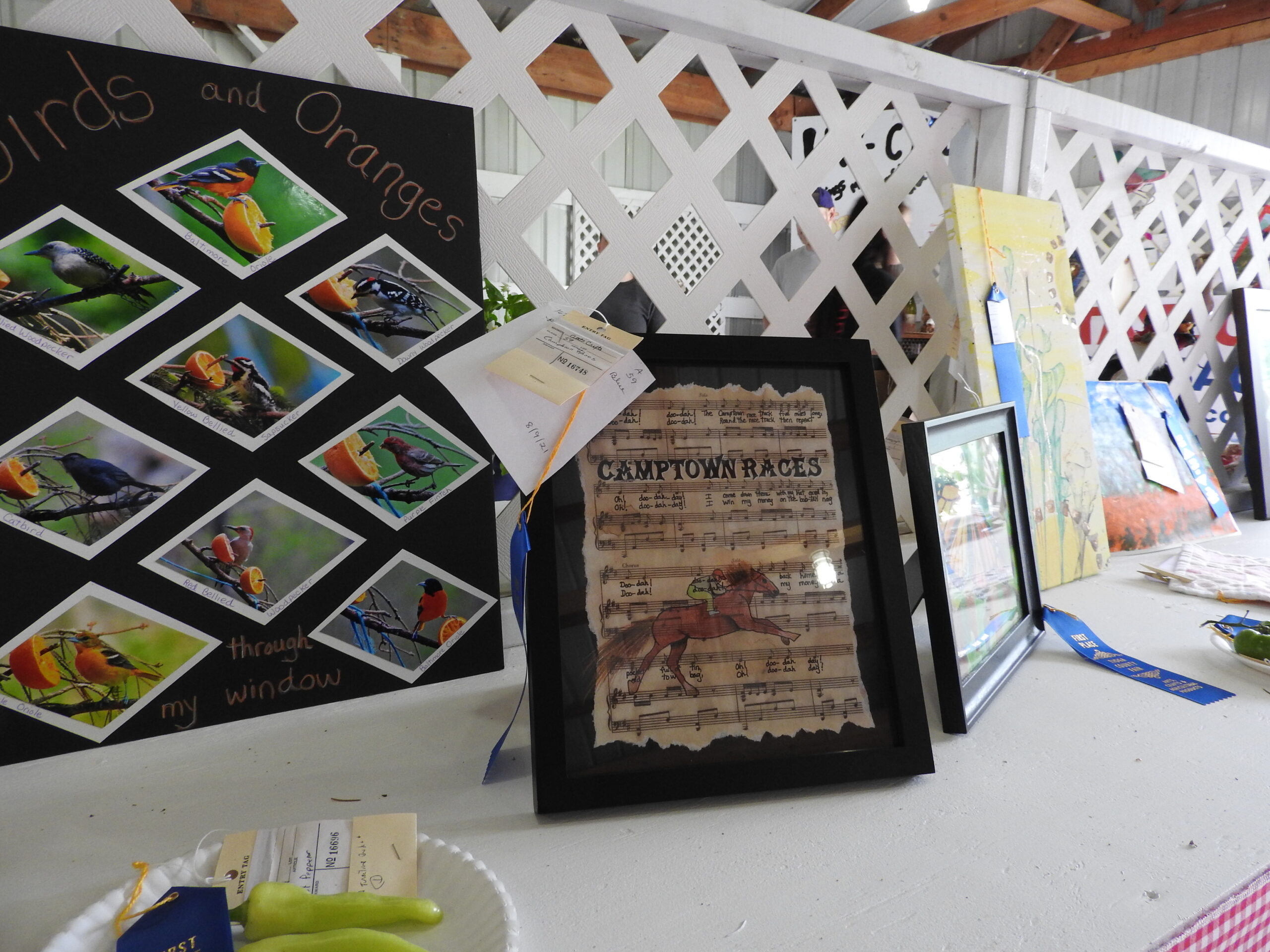 Feeling the heat at the Tioga County Fair!