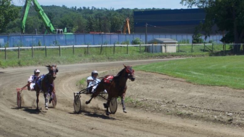 Harness Racing; the Sport that began at the County Fair