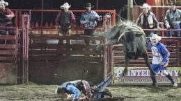 The Rodeo Is Back In Tioga!