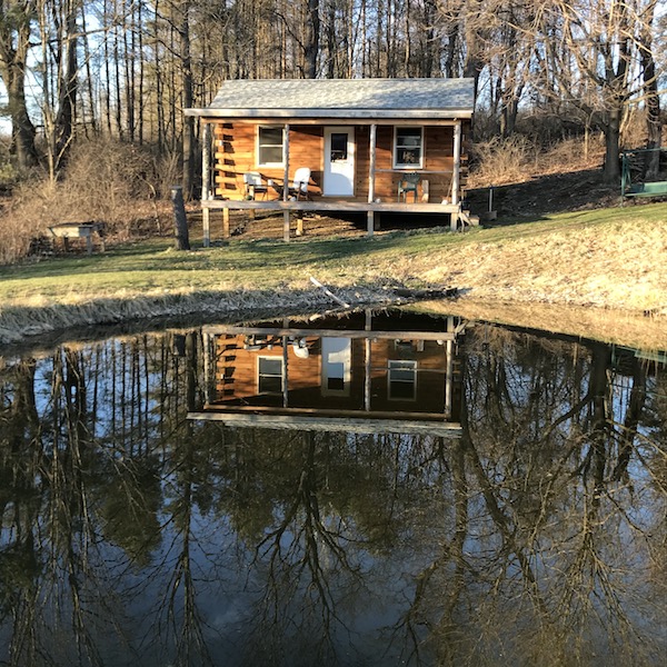 Artist Talk and Tour continues