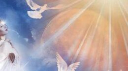 Learn to Fly - F.L.Y. First Love Yourself