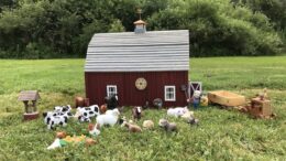 Catatonk Valley Wood Carvers to hold 30th Annual Show