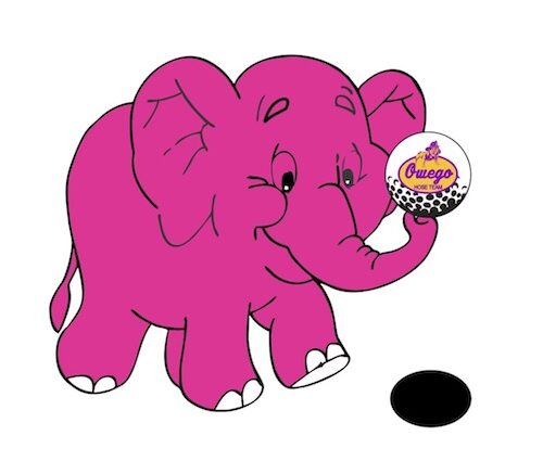 Owego Hose Team to host Inaugural Pink Elephant Putt Putt Tournament and Ball Drop