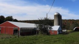 Moving on up to a new farm!