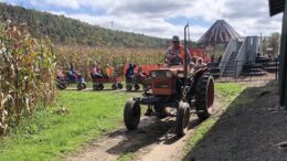 Candor New York’s Fall Festival