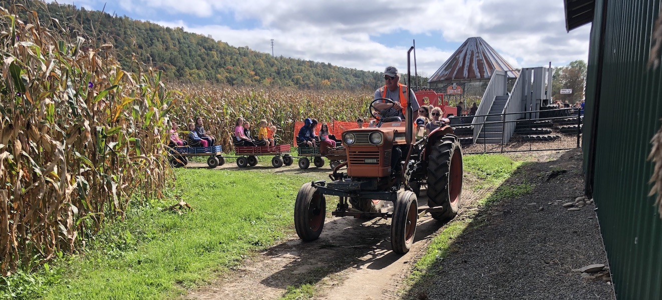 Candor New York’s Fall Festival Owego Pennysaver Press