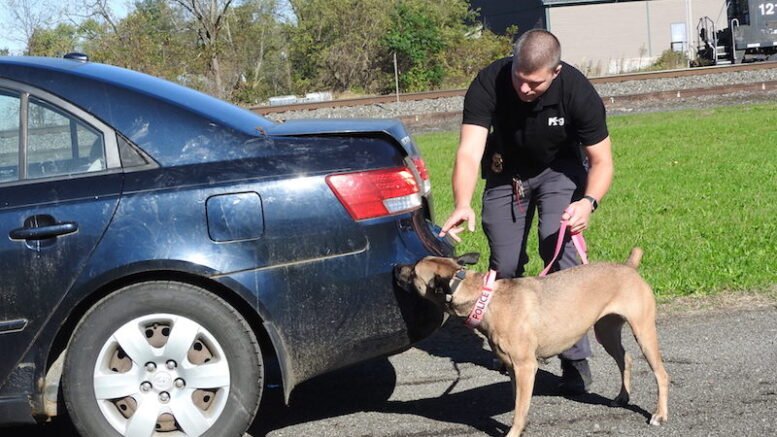 Explosives training for canines held in Owego
