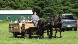 Photos: 40th Annual Newark Valley Apple Festival