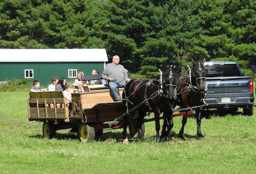 Photos: 40th Annual Newark Valley Apple Festival