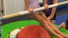 Family Fun Day planned at Owego Gymnastics and Activity Center