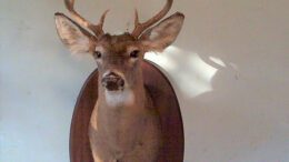 Preserving a treasured memory