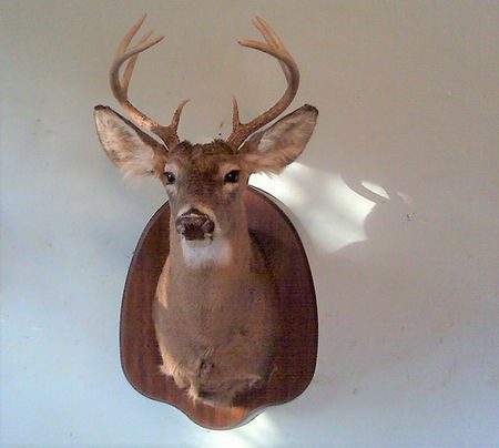 Preserving a treasured memory