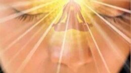 Thoughts - the Language of the Soul