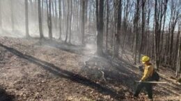 DEC reminds New Yorkers the annual residential brush burning prohibition starts March 16
