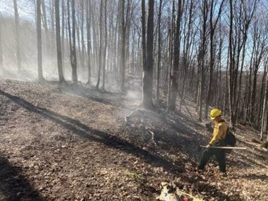 DEC reminds New Yorkers the annual residential brush burning prohibition starts March 16