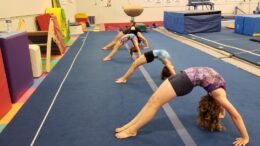 Owego Gymnastics to host Family Fun Day on April 2