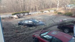 March roars in like a lion