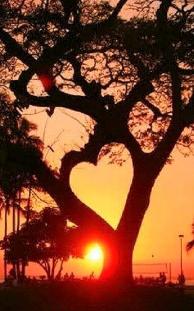 Pollution in the Mind Creates Pollution in Nature